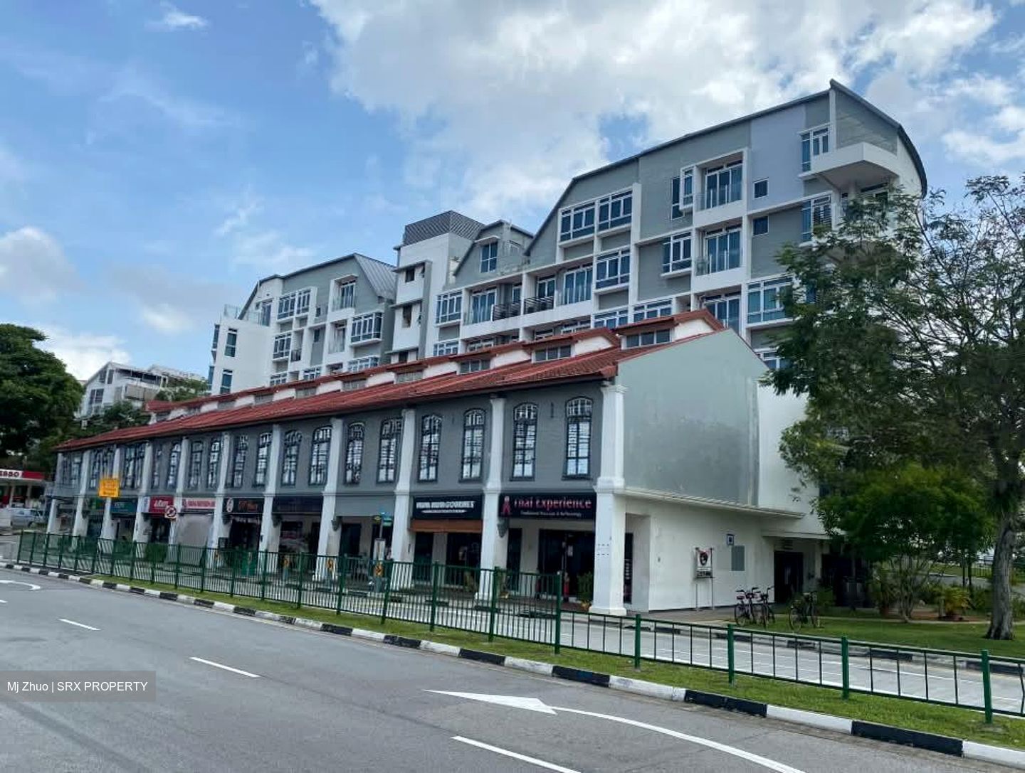 Icon @ Pasir Panjang (D5), Shop House #595650191